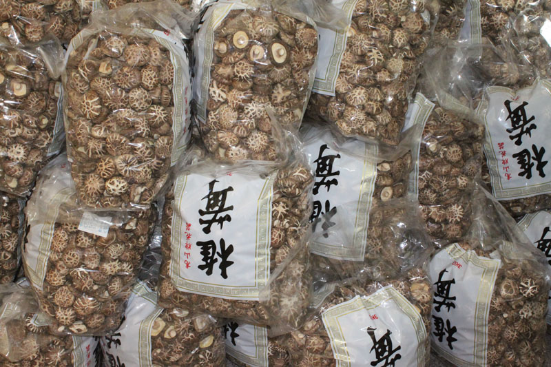 切足白花菇AA級